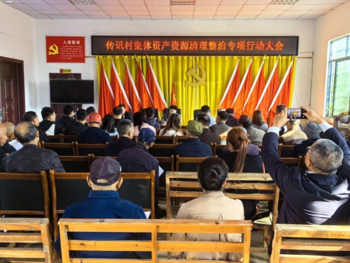 湖南澧县如东镇巧用三长制高效助推集体资产资源整治