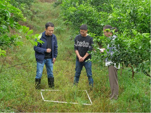 重点管理外来入侵物种空心莲子草防控技术交流及现场灭除活动举行
