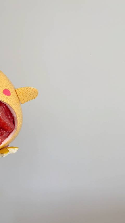 又到了吃柚子的季节用柚子皮来做一只可爱的小鸡吧