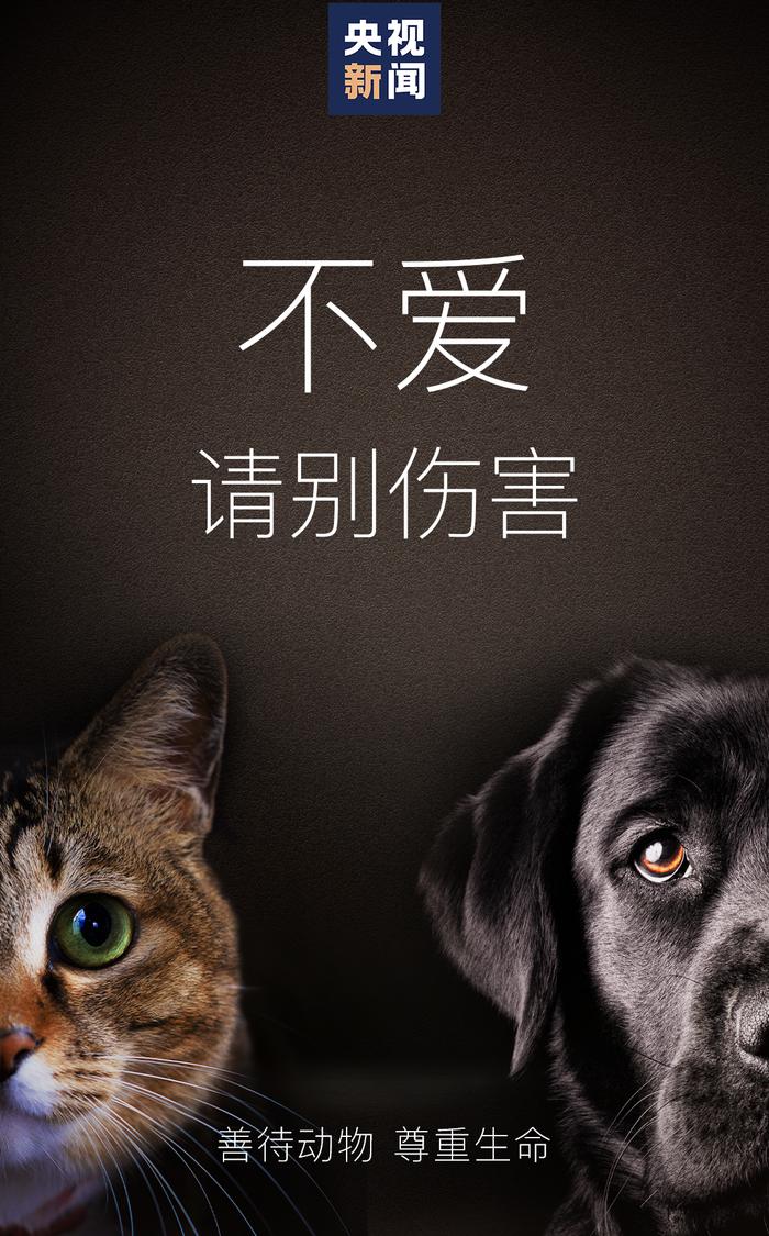 小卡单节18分 威少状态在线快船61-48领先湖人