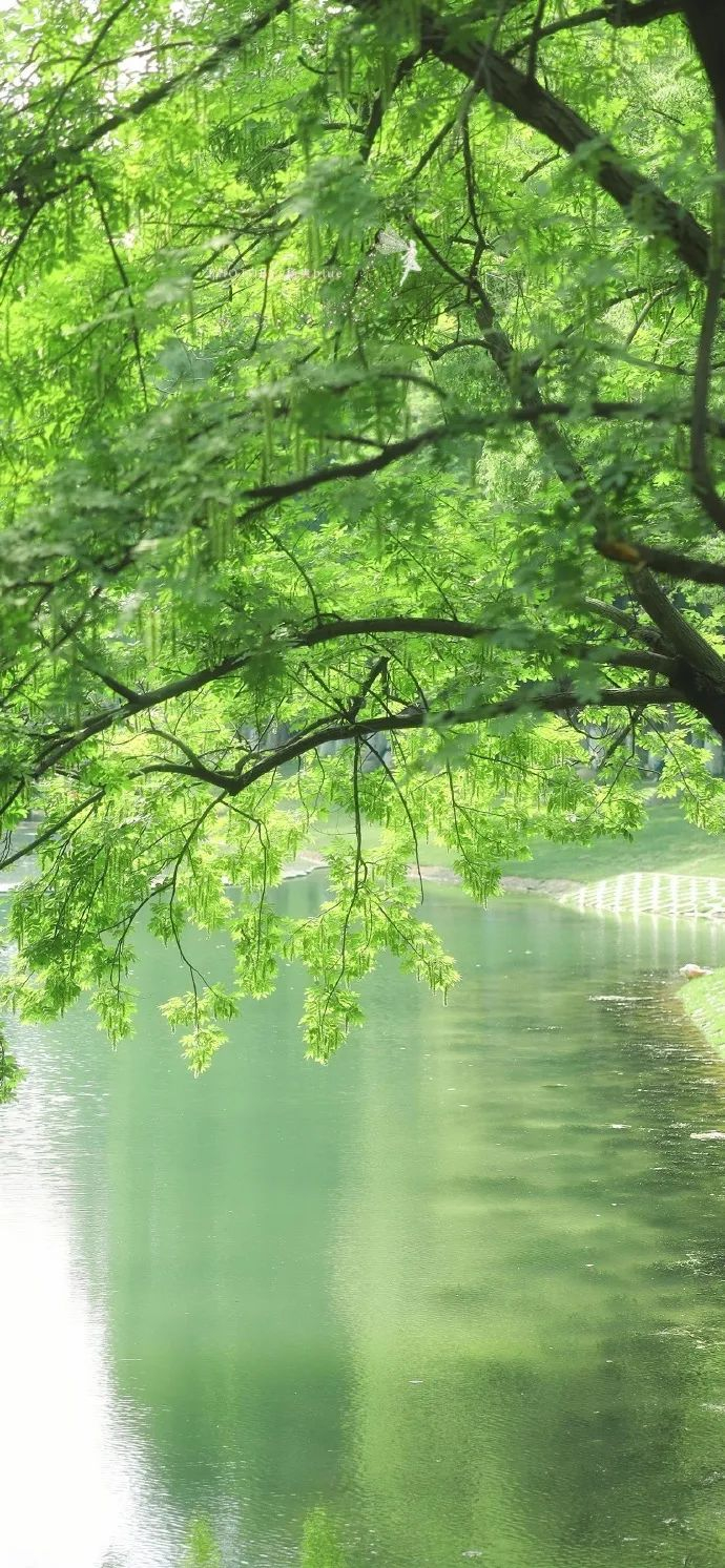 壁纸| 新鲜出炉的锁屏壁纸哦|壁纸_新浪新闻
