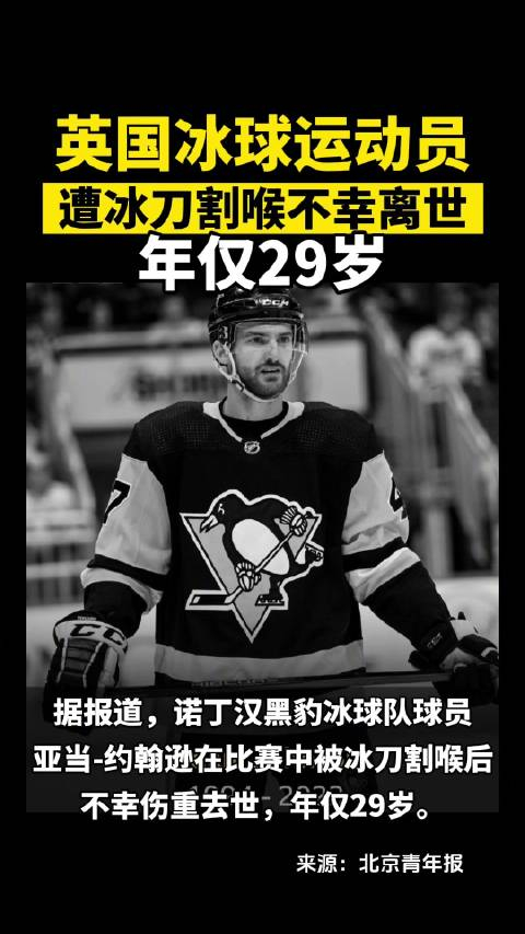英国29岁冰球运动员遭冰刀割喉去世_手机新浪网