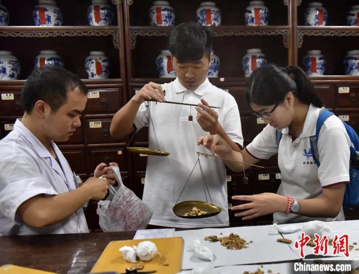 香港学医大学生在浙江武义“回元堂”中医馆体验传统方式按处方配中药材。张建成 摄