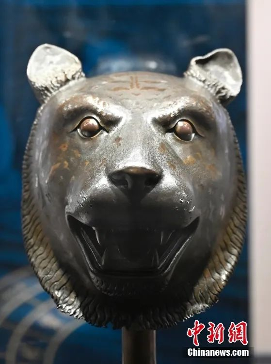 在北京圆明园博物馆展出的虎首。中新社记者 赵文宇 摄