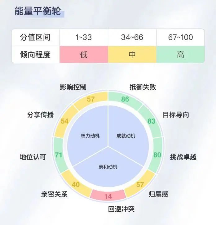  测评报告示意图