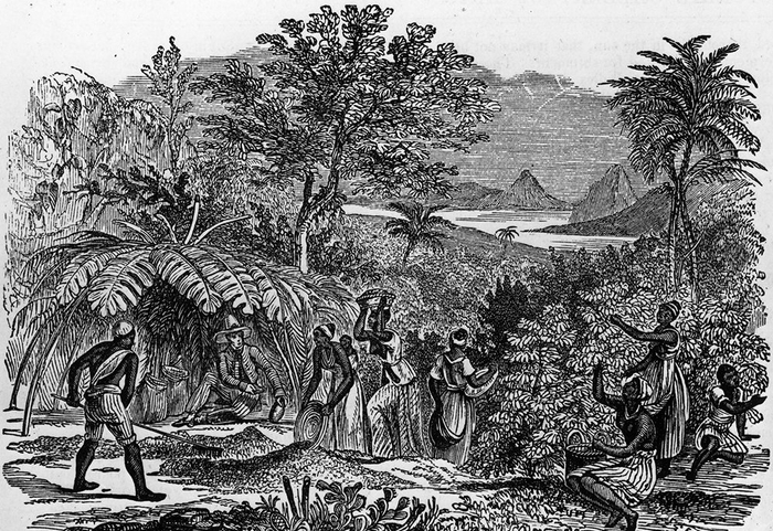 18世纪巴西种植园