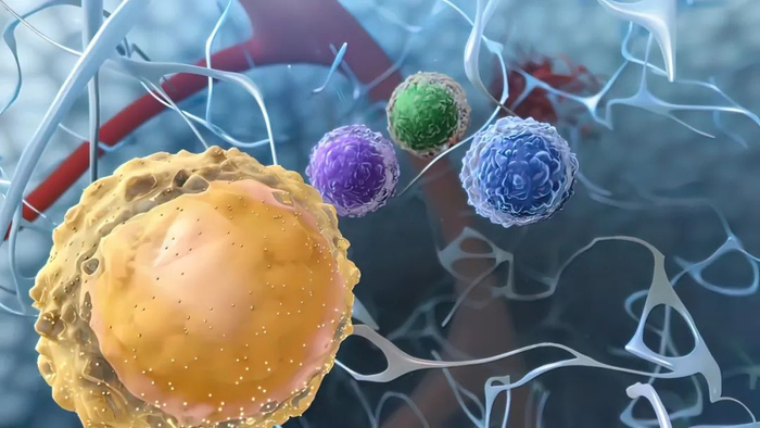 图片来源：pexels