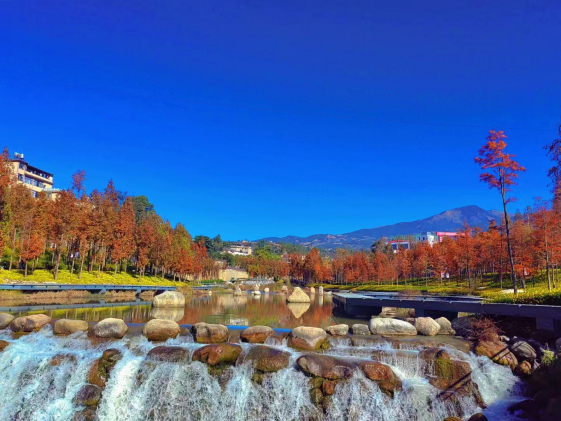 石屏这里是其中之一|云南省|宝丰|芒市_新浪新闻