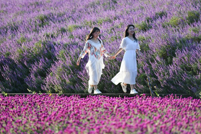 人们在假期走出家门，乐享美景。（新华社资料图）