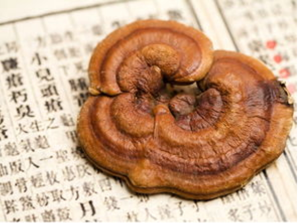 十大抗衰老的中药来了让你越吃越年轻