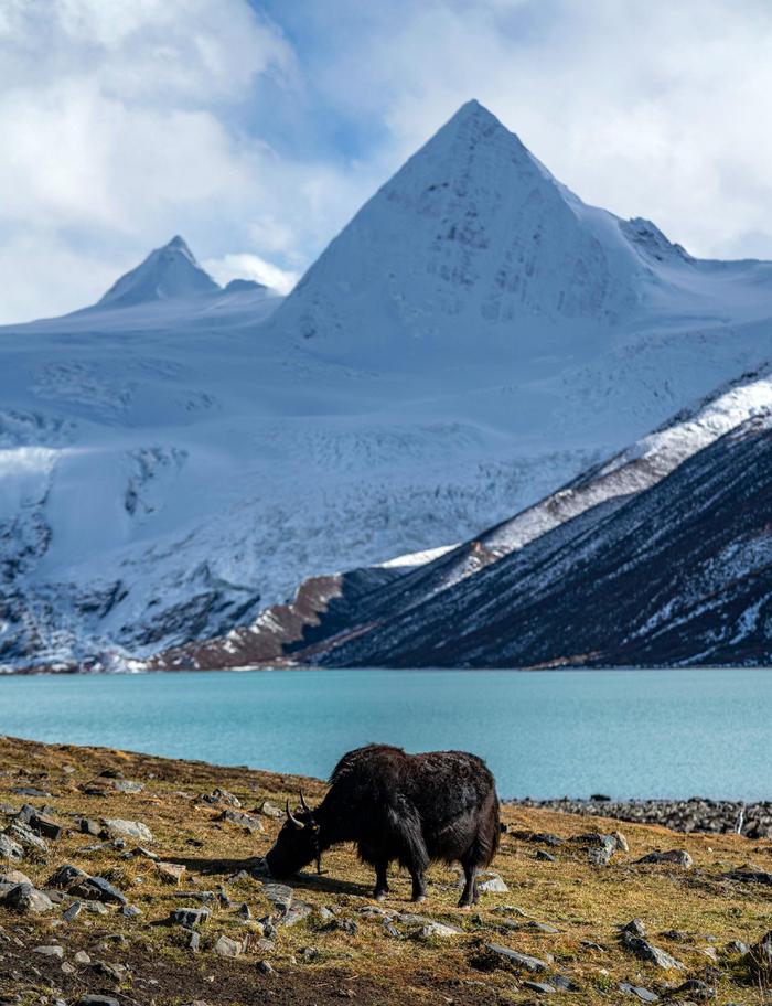 萨普雪山图片