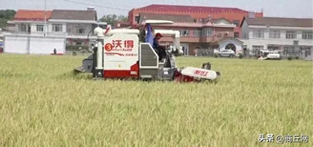 收割机排行_沃得农机:多维发展打造中国农业机械领军企业
