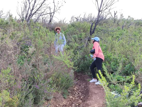 在桌山越野的混血人