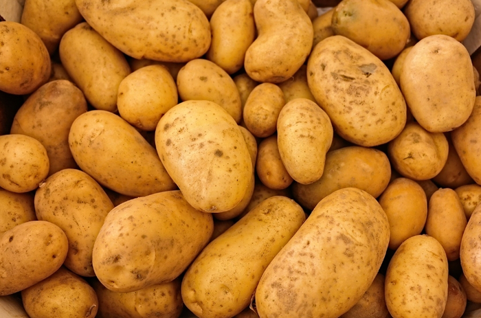 图片来源：Pixabay