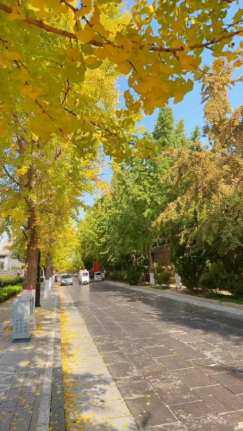 当时相候赤栏桥,而今独寻黄叶路……__财经头条