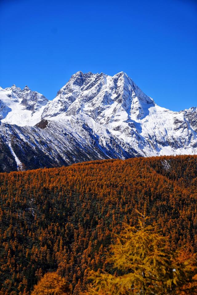 秋游记实拍梅里雪山的日照金山辽阔深远层林尽染风景如画