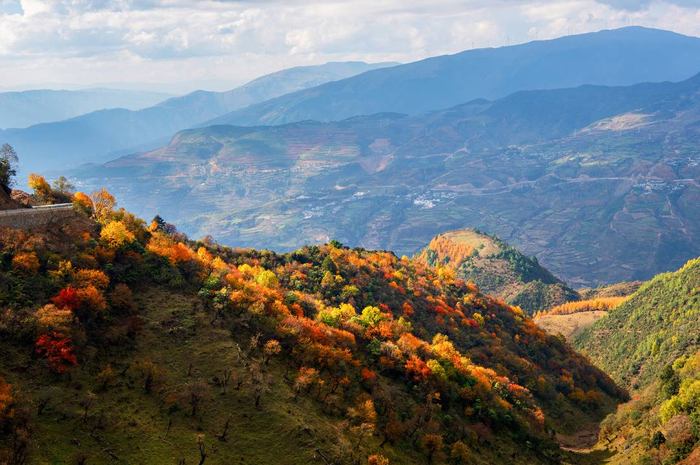 图集丨层林尽染 四川金阳县百草坡秋色醉人