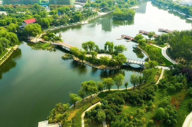 菏泽文旅十赋之牡丹区赋