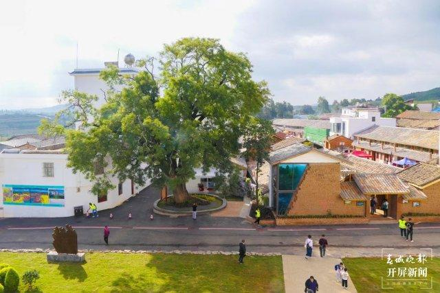 有一种叫云南的生活逛网红村泡温泉隧道品酒曲靖沾益玩场多