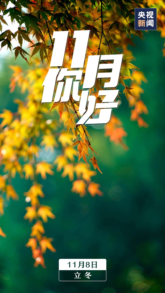 许玲|陈思佳_新浪新闻