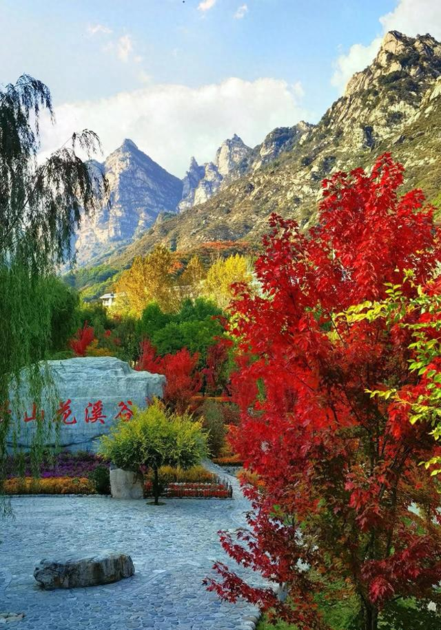 漫山花溪谷景区闭园公告|花溪谷|景区|官方_新浪新闻