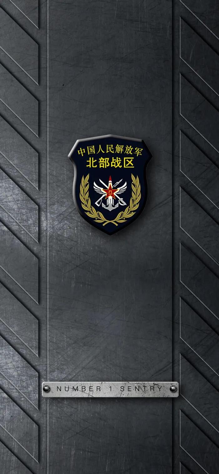 中国海事臂章图片