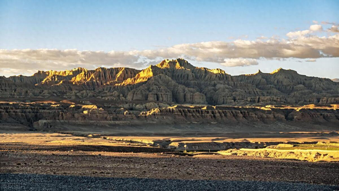 阿里地区札达县波林村:绿树如墙立 早晚见成林|阿里地区|树苗|西平
