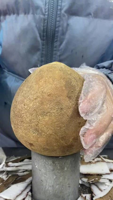 强迫症有一点点难受