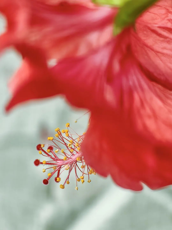 人像|长焦镜头|建筑_新浪新闻