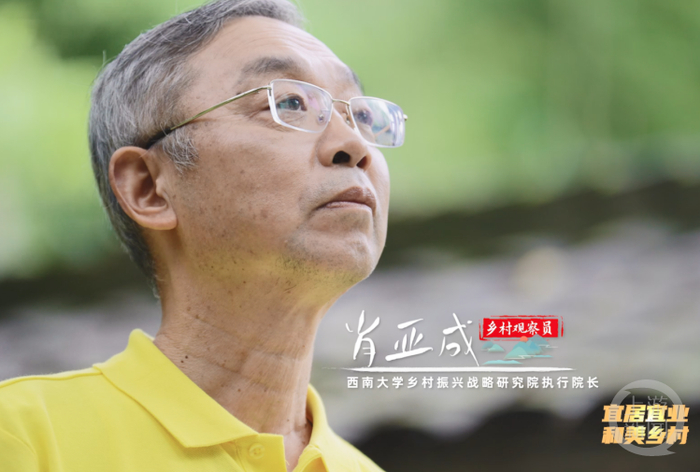 片中的“乡村观察员”西南大学乡村振兴战略研究院执行院长肖亚成教授 