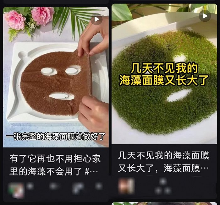 截自小红书
