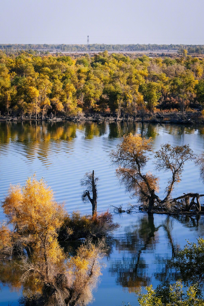 新疆阿克苏·沙雅县塔里木河湿地旅游景区