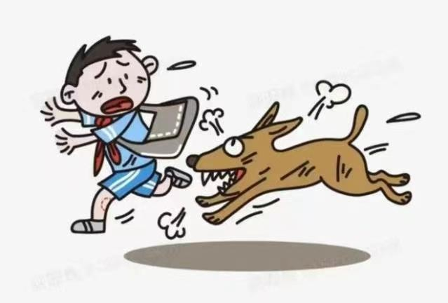 恶犬伤童悲剧频频发生,背后真相引人深思,人命重要还是狗命重要