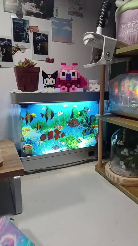 看电子鱼缸享机械人生