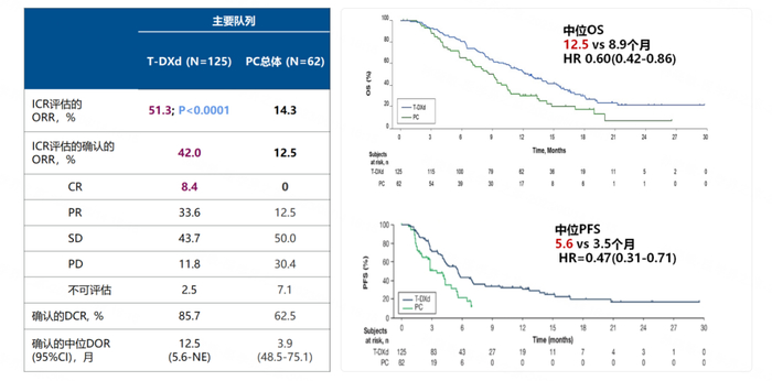 图7. DESTINY-Gastric01研究的疗效结果