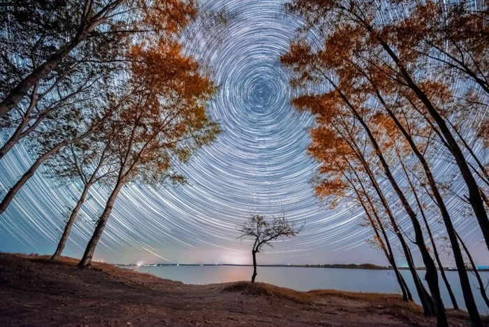 秋日私语作者/刘成山器材/尼康d810  适马14art参数/背景:iso6400,f1.