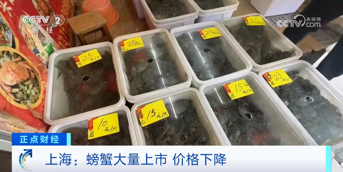 图片来源于网络