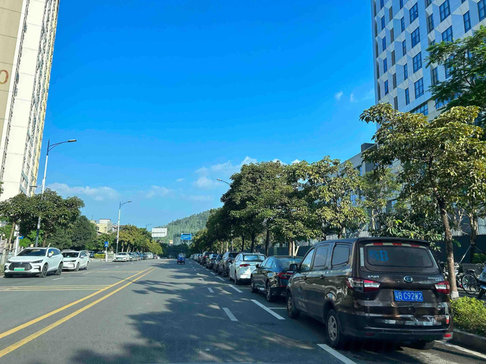 深圳坪山区石井街道全域停车改革取得阶段性成效