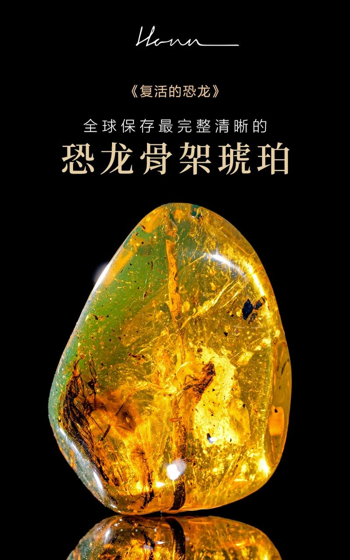 展品《复活的恐龙》