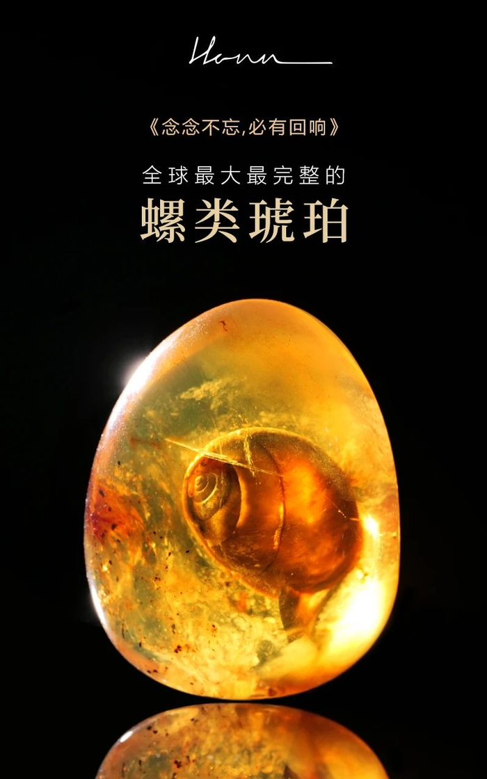 展品《念念不忘，必有回响》