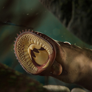 16亿年前化石进一步揭示水下杀手七鳃鳗的演化历史