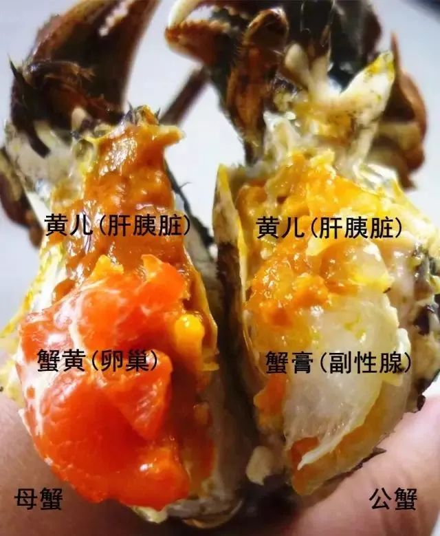 图片来源：作者提供
