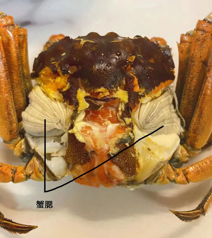 图片拍摄：青山无柴