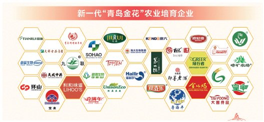 　　2023年新一代“青岛金花”农业培育企业。　本版图片均为资料图