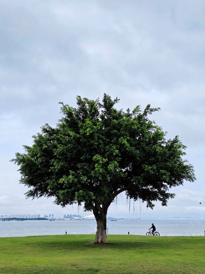 用好大小对比,让你的照片与众不同!|摄影_新浪新闻