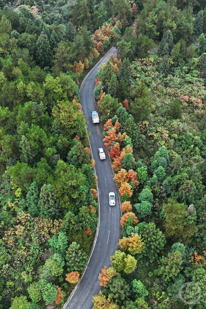 彭水彩色公路美如画