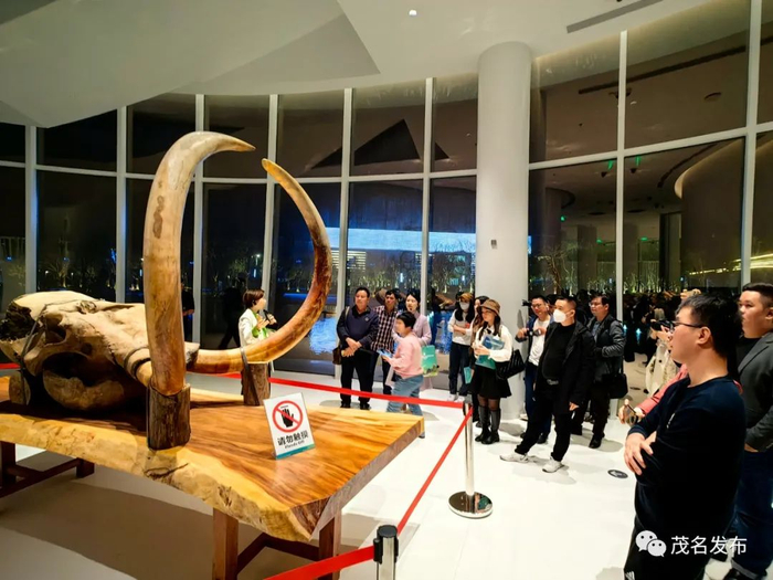 窦州墟牙雕馆吸引了越来越多游人。