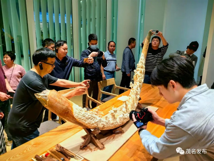 媒体记者十分关注信宜牙雕艺术品。