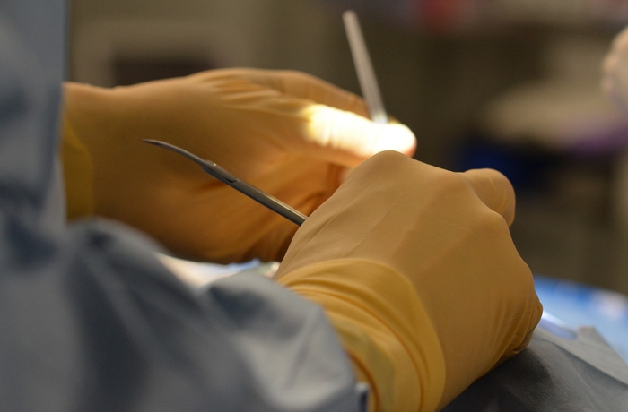 图片来源：Pixabay