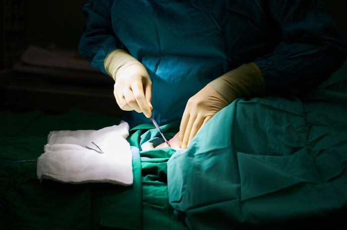 图片来源：Pixabay